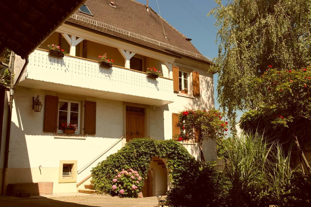 La Vieille Vigne Bed & Breakfast Gundolsheim מראה חיצוני תמונה